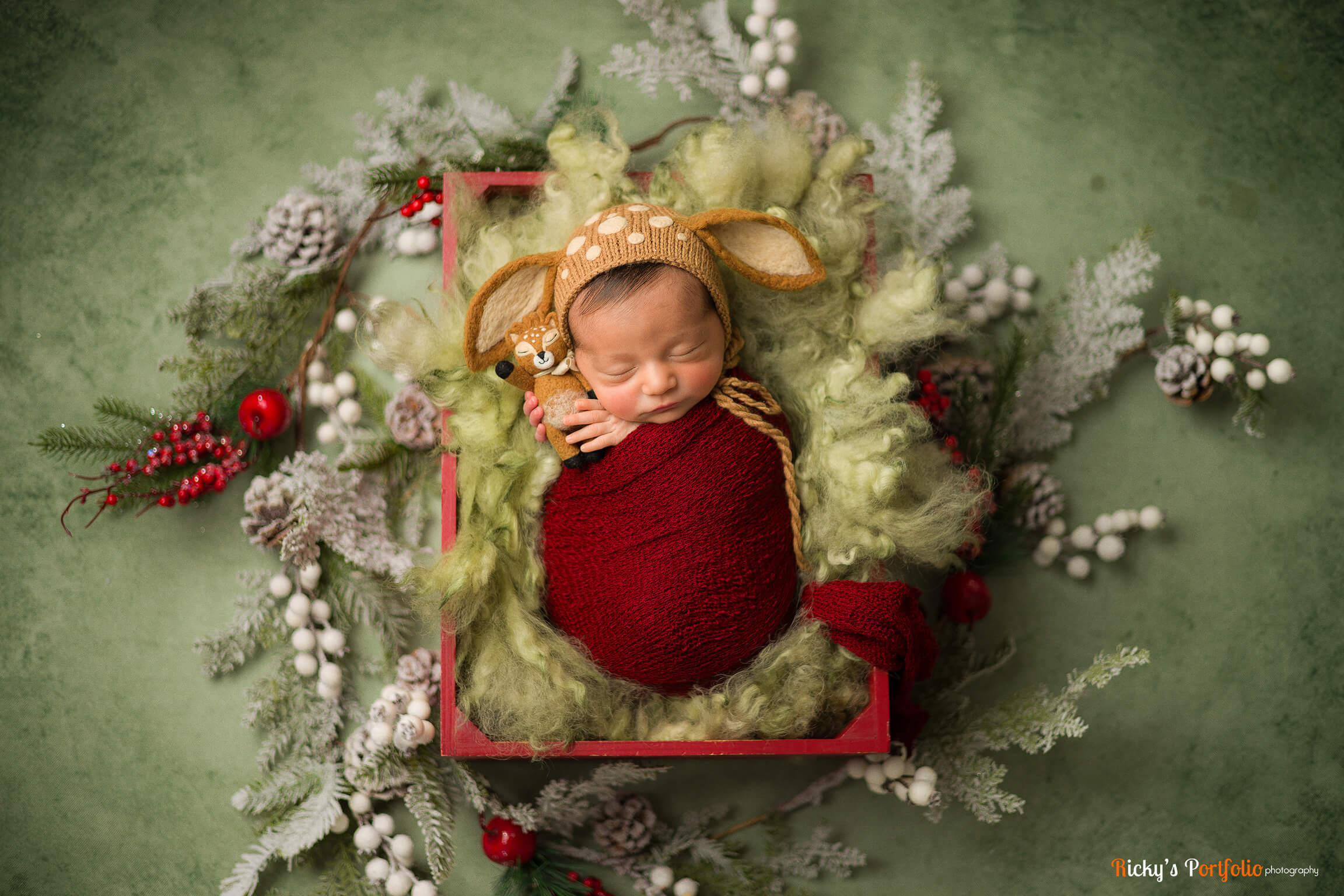 22 Expert Tips for Getting Amazing DIY Newborn Pictures