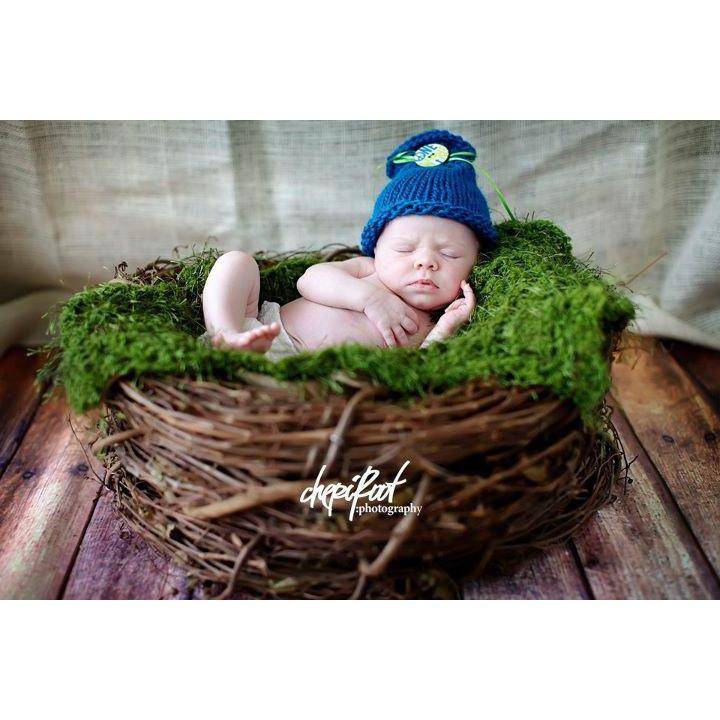 Wooden nests, furs, baby wraps, purchases newborn photography props