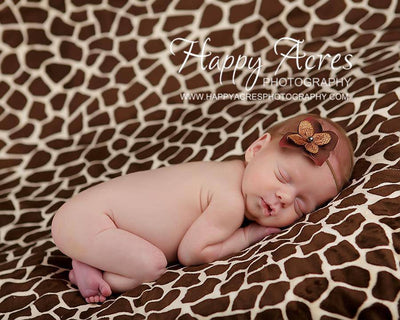 Chocolate Brown Two Tone Flower Headband - Beautiful Photo Props